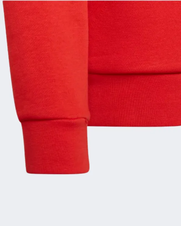 Adidas Trefoil Kids-Unisex Original Hoody Red/White Hd2020